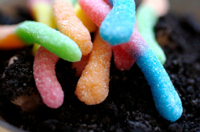 Enjoy Earth Day With Worms In Dirt