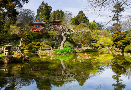 San Francisco Japanese Tea Garden