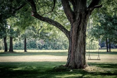 Swing in city park