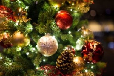 5 Easy Ways To Dispose Of Your Christmas Tree 5 Easy Ways To Dispose Of Your Christmas Tree