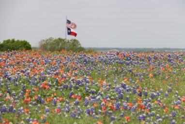 Texas flag