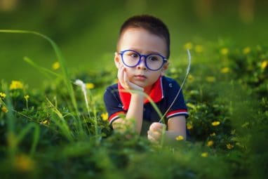 Boy in grass field