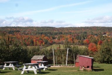 Colchester, Vermont forest.