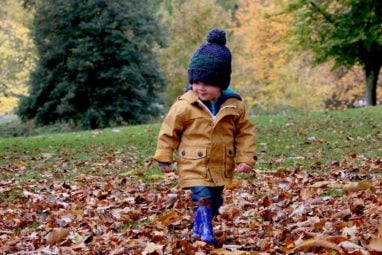 Concord boy walking on leaves