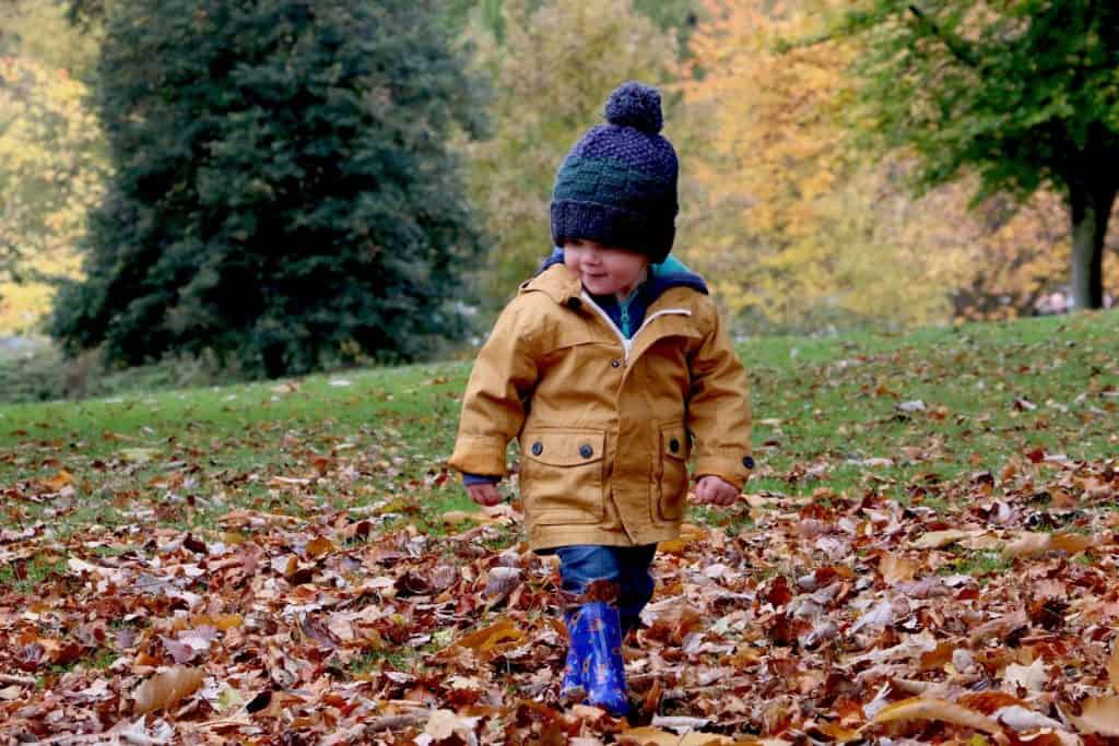 Boy playing in leaves