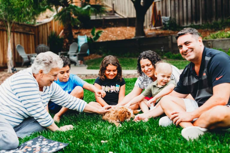 Car Donations In Daly City Make Dreams Come True