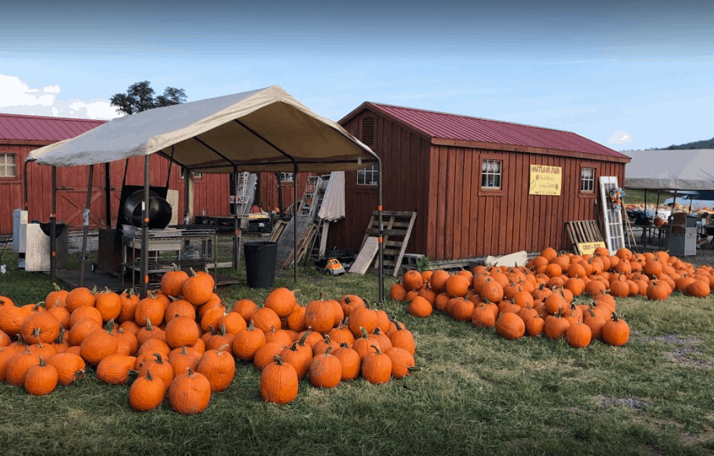 The 11 Best Apple Orchards In Northern Virginia Wheels For Wishes