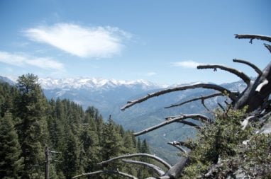 Mountain view in Sequoia National Park