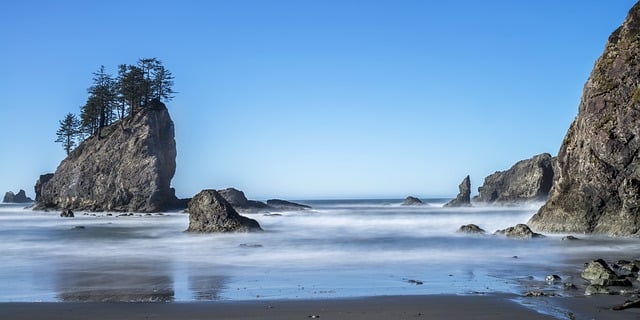 view of beach in  Olympic National Park. 