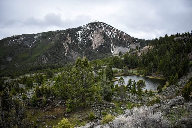 yellowstone in daytime