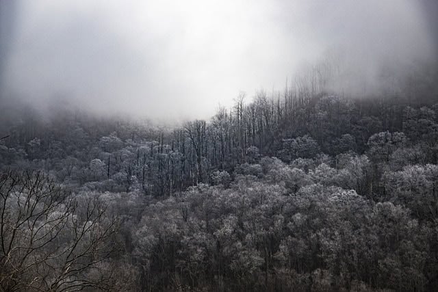 mountain side with fog