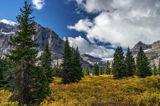 trees, clouds, and mountain in Rocky Mountains National Park