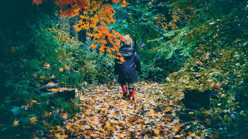 Child walking down a path in Danbury, CT.