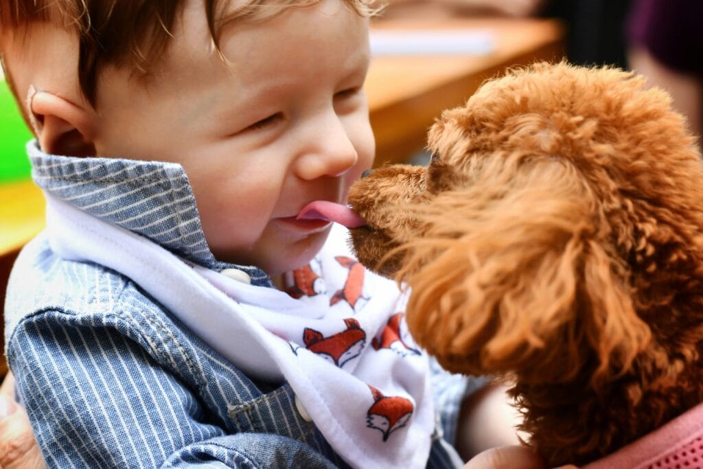Boy and his dog, happy in Connecticut.