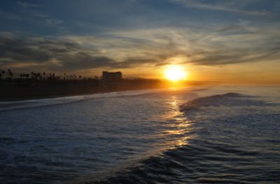 Beach sunset with palm trees