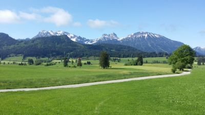 Snowy mountains behind green fields