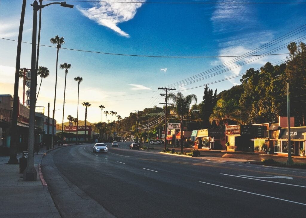 Sunny road with cars and palm trees