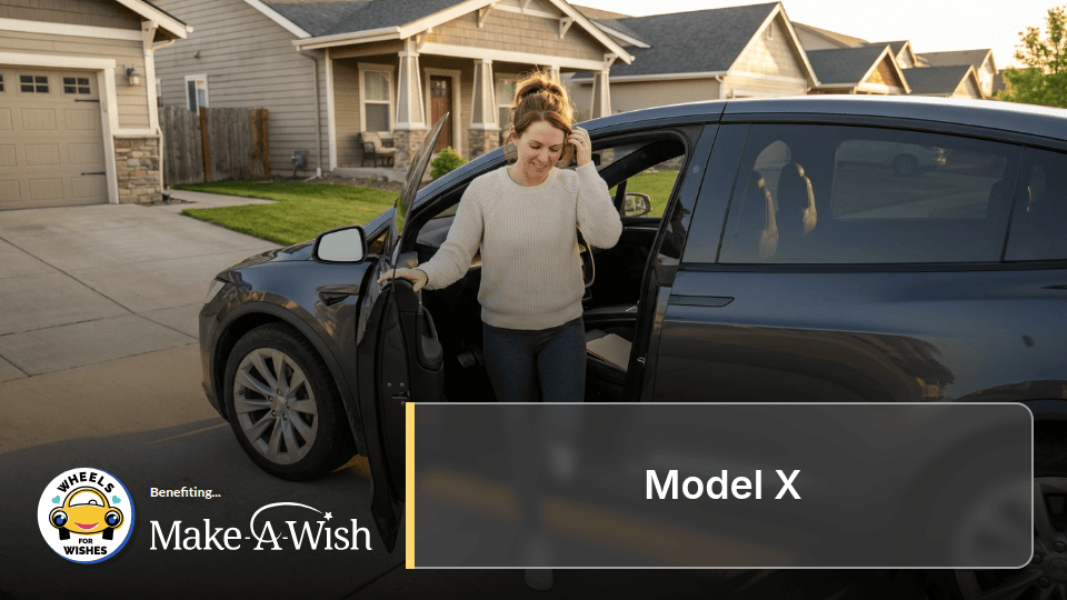 Model X